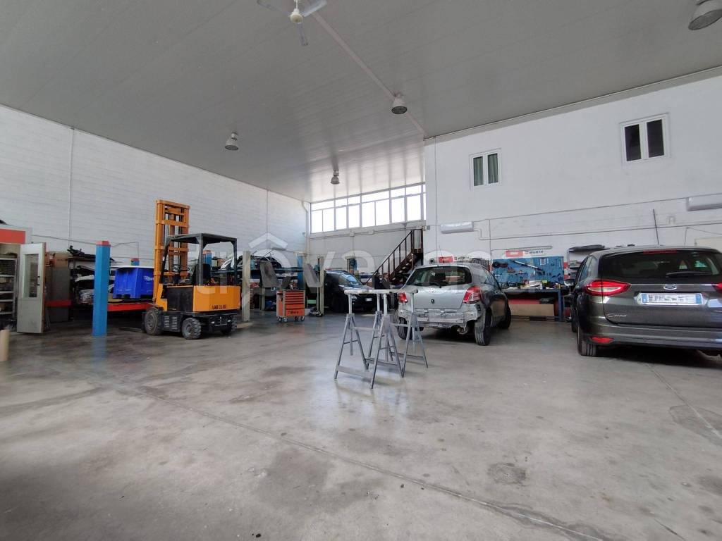 immagine annuncio 7 di 15