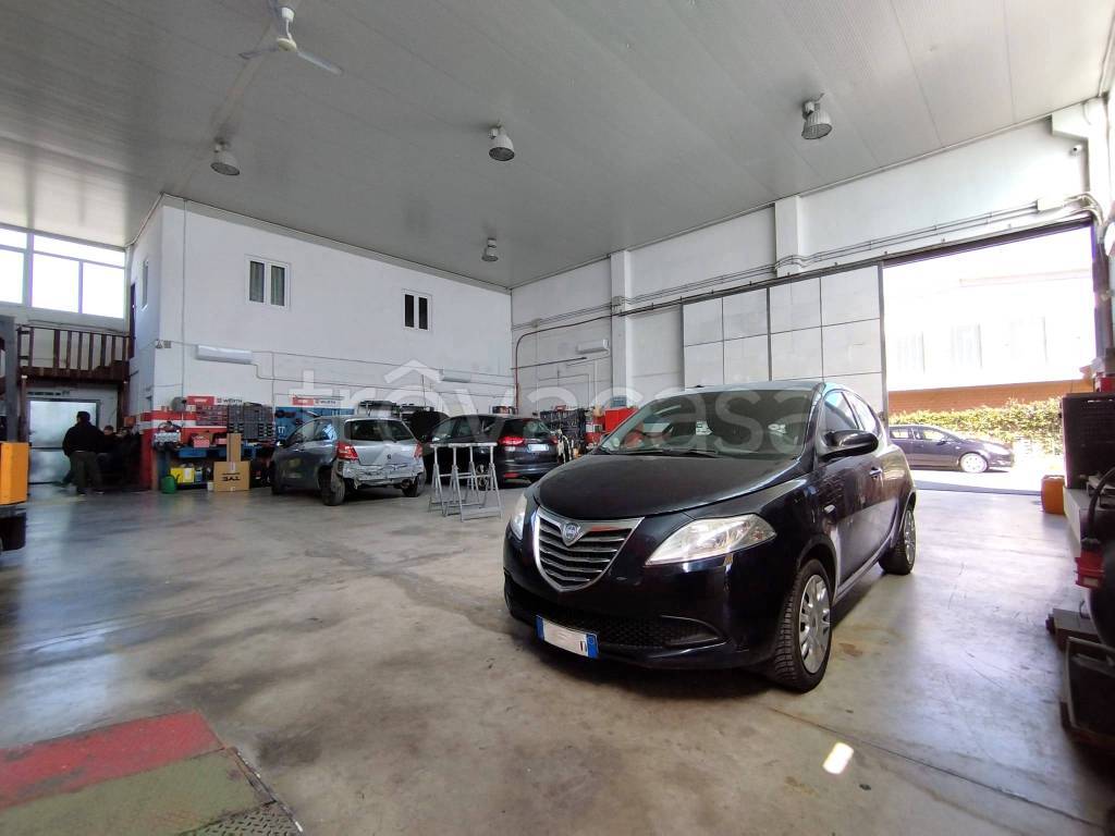 immagine annuncio 8 di 15