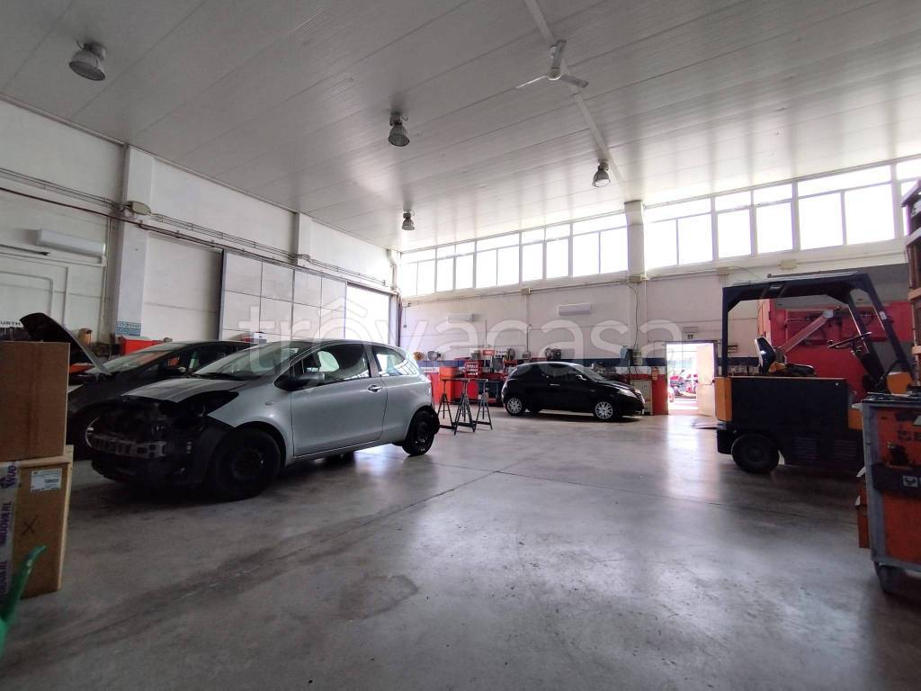 immagine annuncio 9 di 15