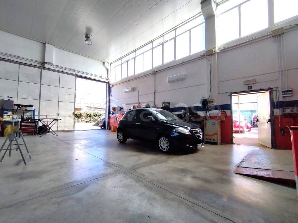 immagine annuncio 10 di 15