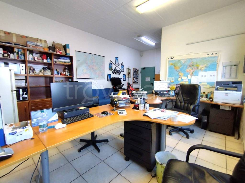 immagine annuncio 12 di 15