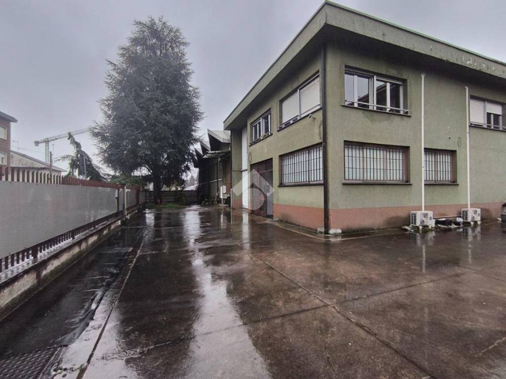 immagine annuncio 2 di 15