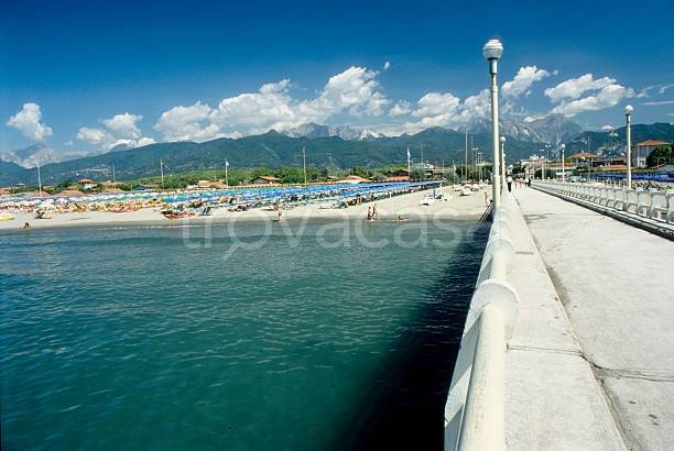 immagine annuncio 4 di 8