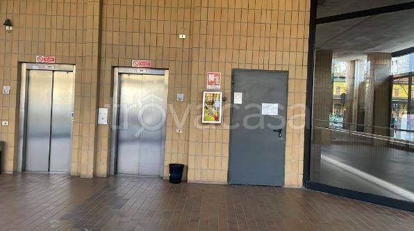 immagine annuncio 3 di 8