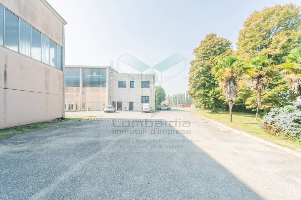 immagine annuncio 10 di 15