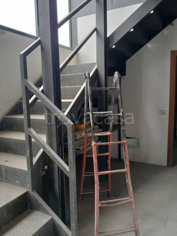 immagine annuncio 6 di 12