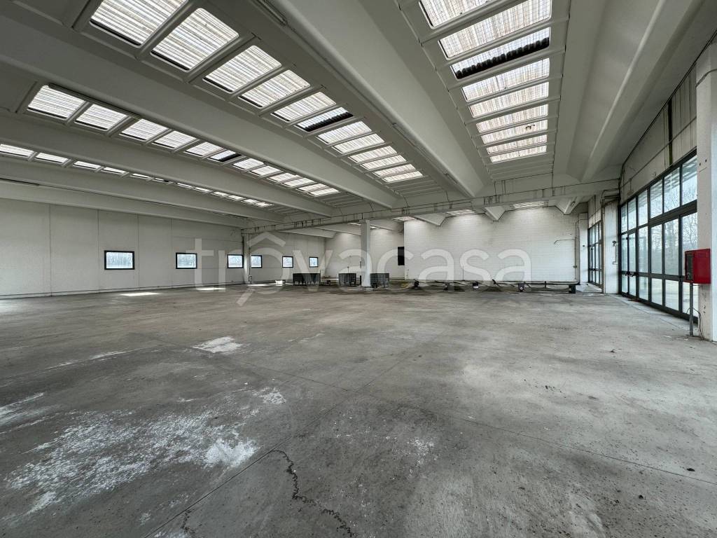 immagine annuncio 6 di 12