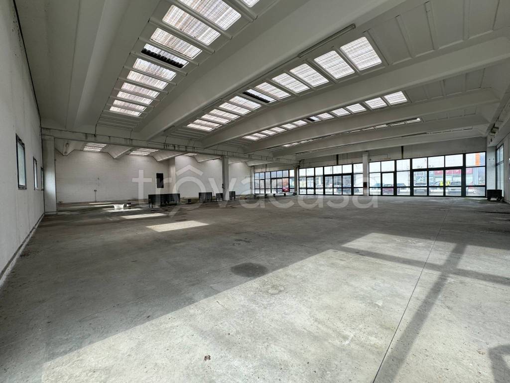 immagine annuncio 8 di 12