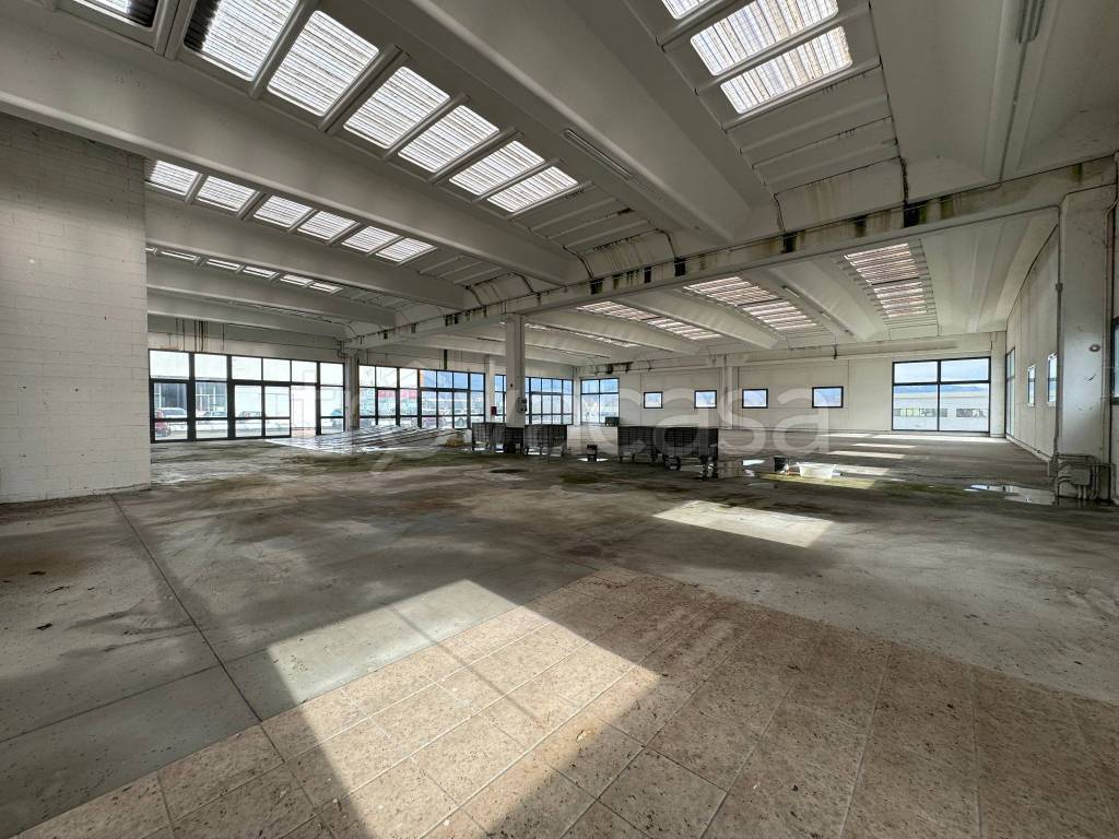 immagine annuncio 9 di 12