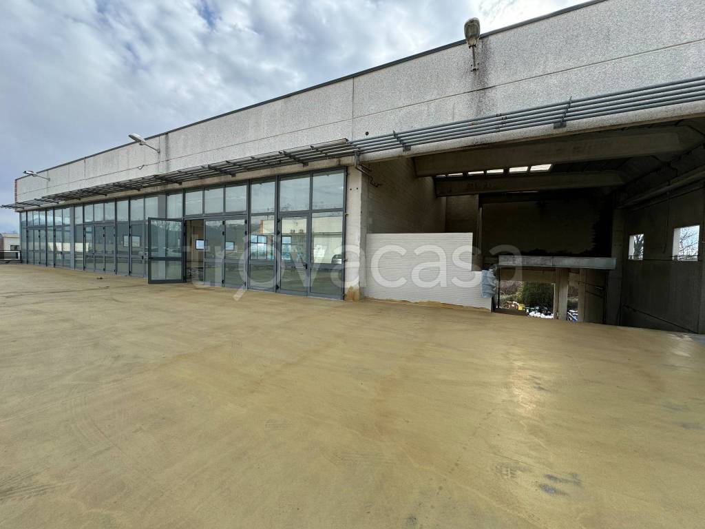 immagine annuncio 5 di 12