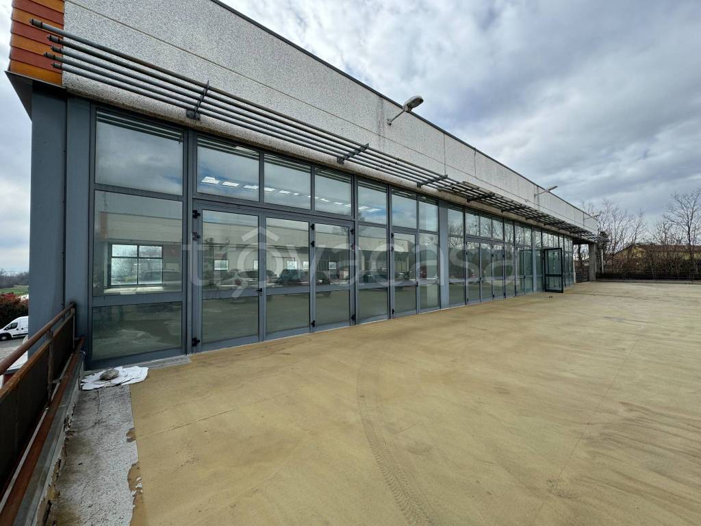 immagine annuncio 4 di 12