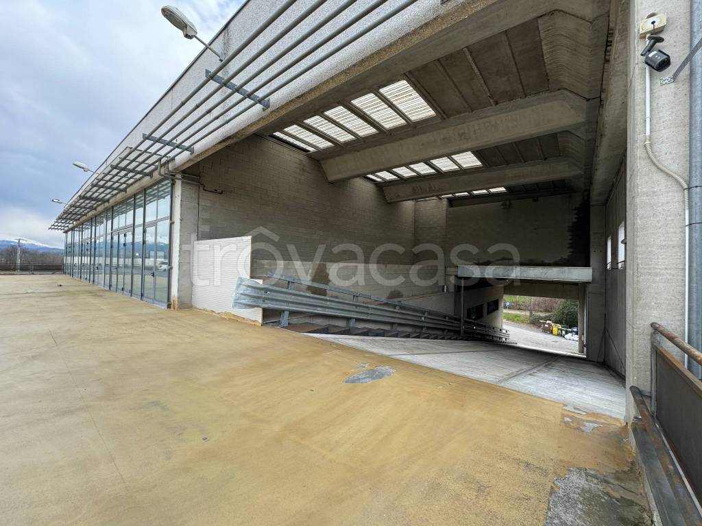 immagine annuncio 3 di 12