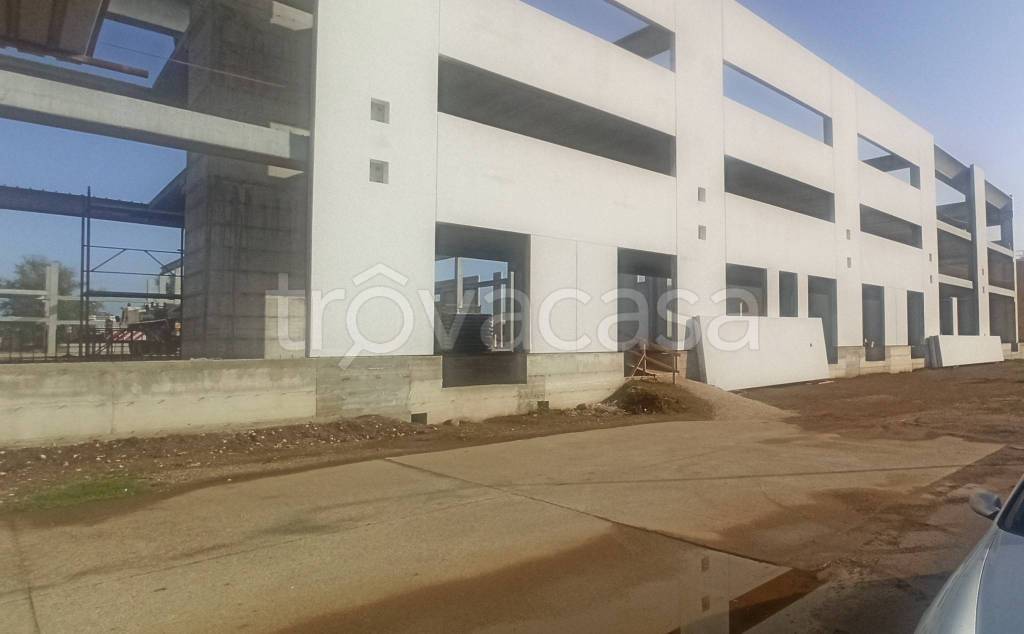 immagine annuncio 3 di 13