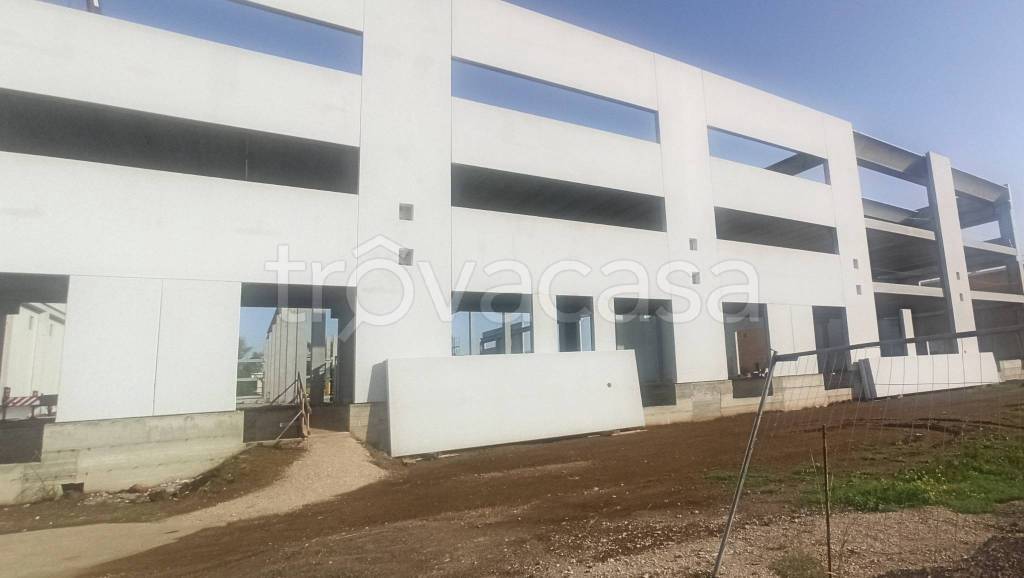 immagine annuncio 5 di 13