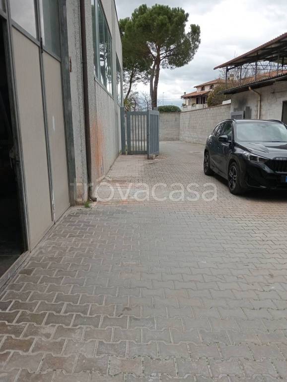 immagine annuncio 11 di 12