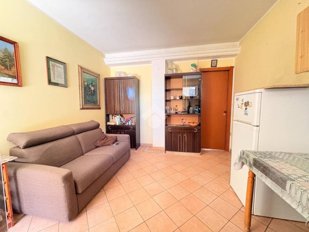 immagine annuncio 3 di 11