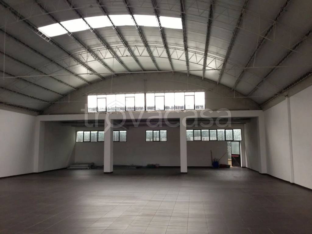 immagine annuncio 2 di 4