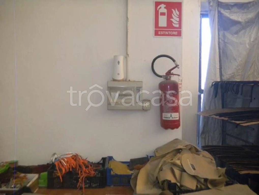 immagine annuncio 9 di 13