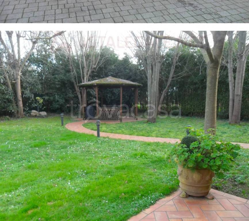 immagine annuncio 2 di 6