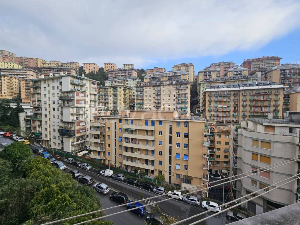 immagine annuncio 8 di 14