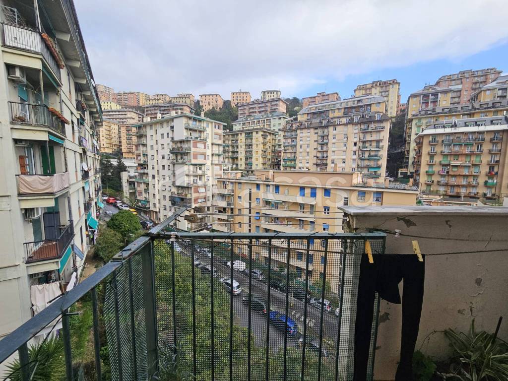 immagine annuncio 9 di 14