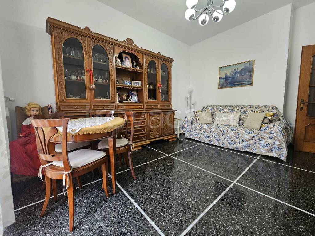 immagine annuncio 2 di 14