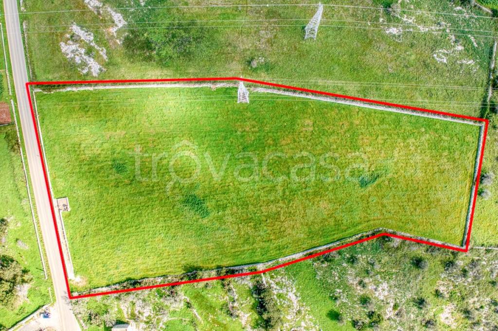 immagine annuncio 4 di 13