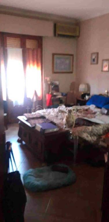 immagine annuncio 2 di 6