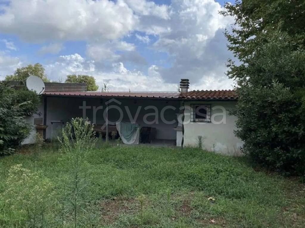 immagine annuncio 3 di 6