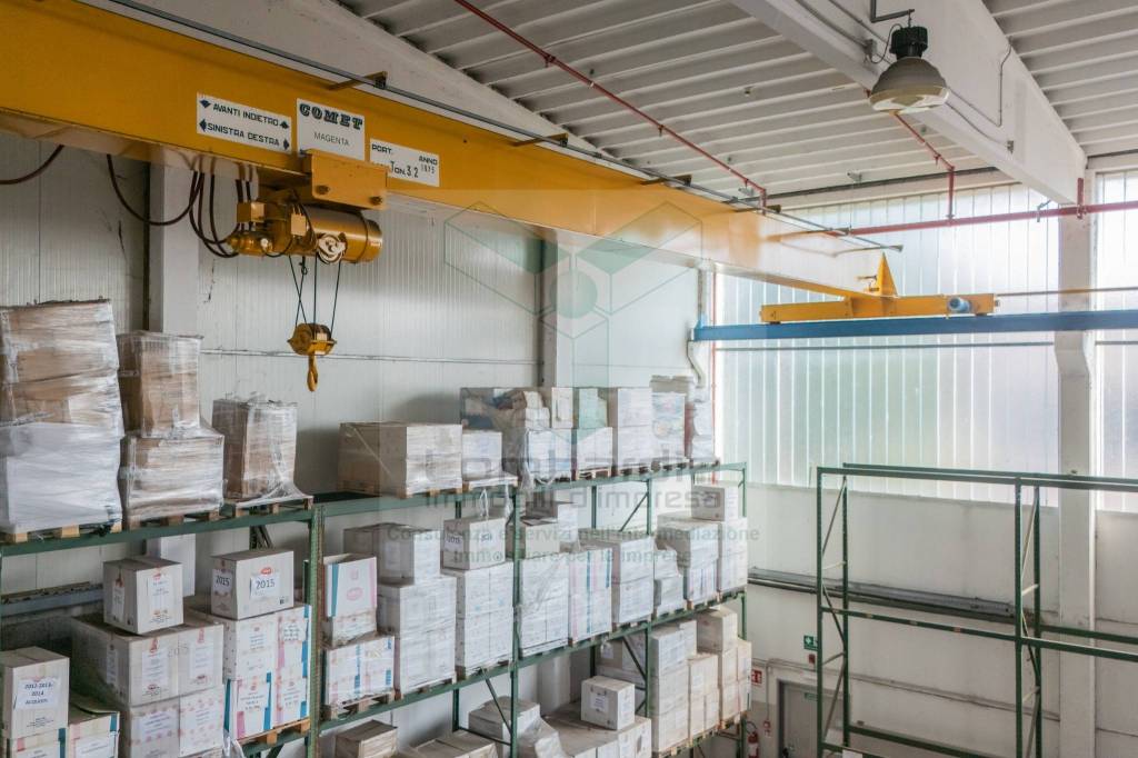 immagine annuncio 11 di 15