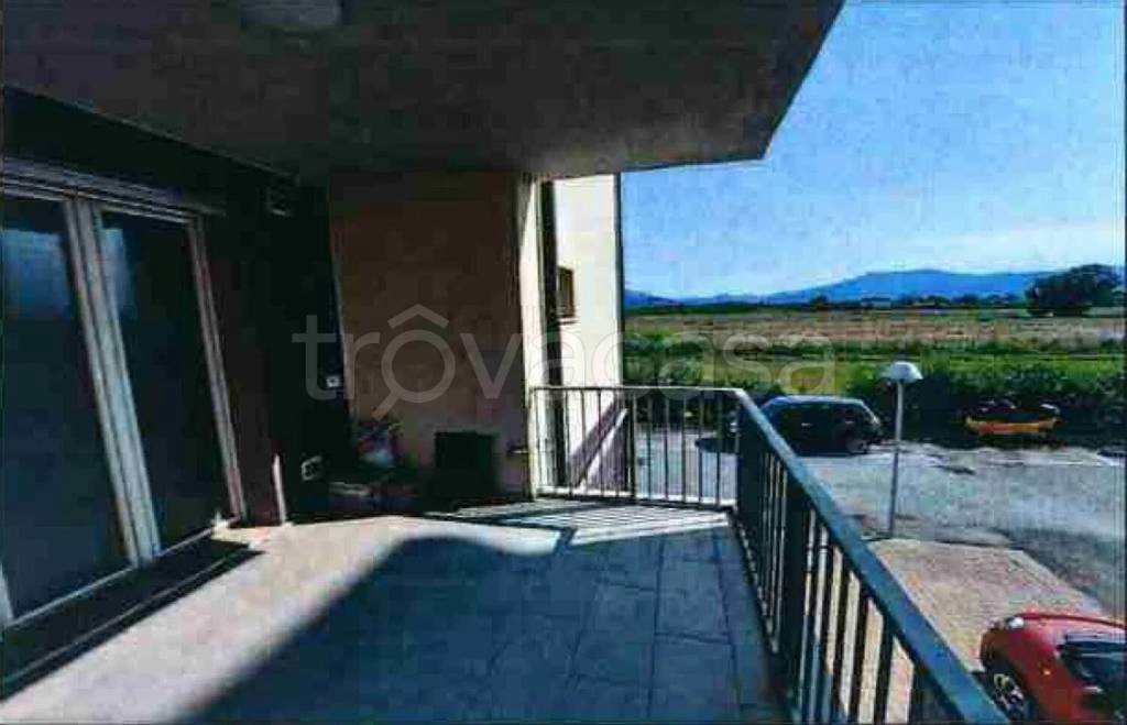 immagine annuncio 7 di 14