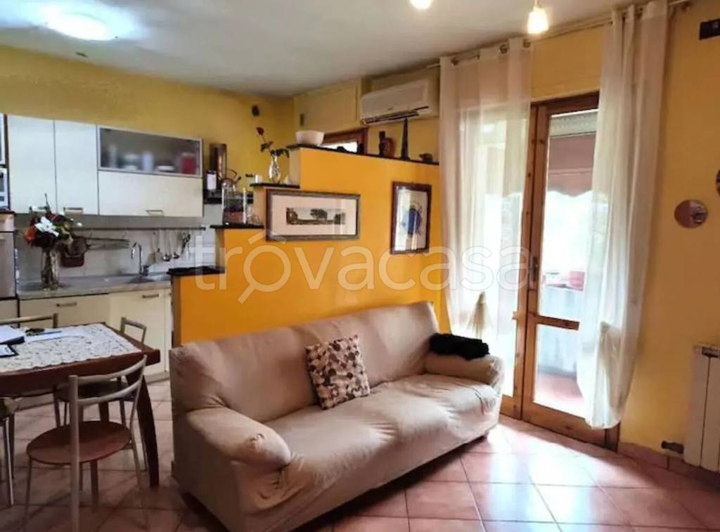 immagine annuncio 1 di 7