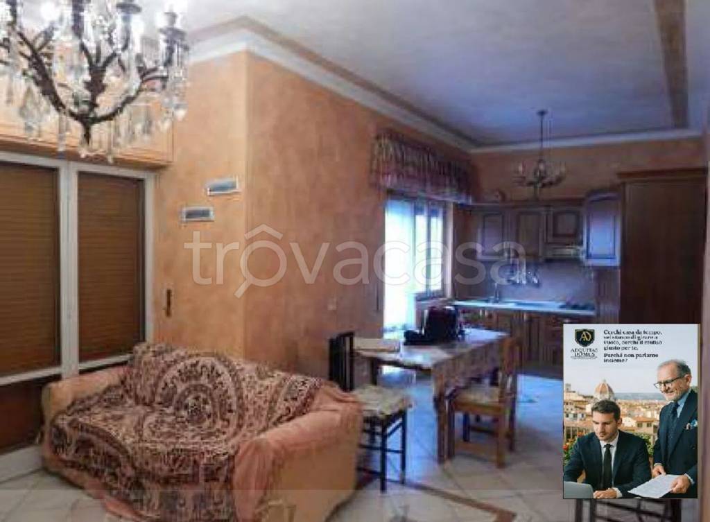 immagine annuncio 4 di 14