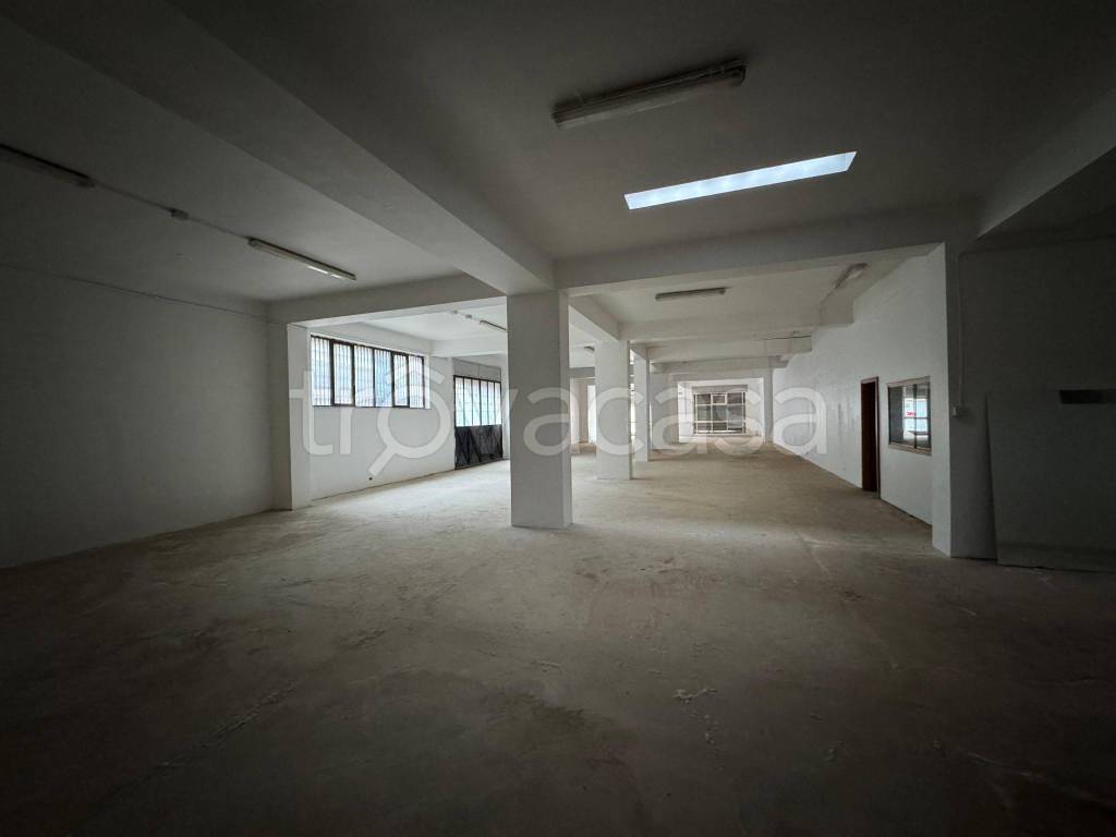 immagine annuncio 2 di 4