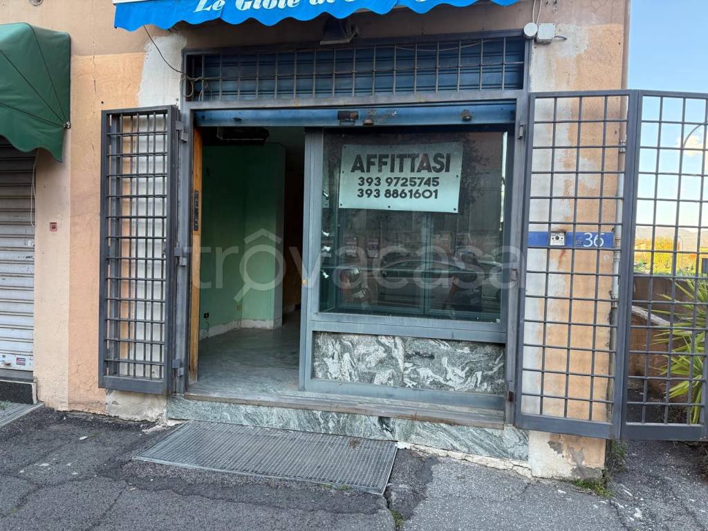 immagine annuncio 6 di 13