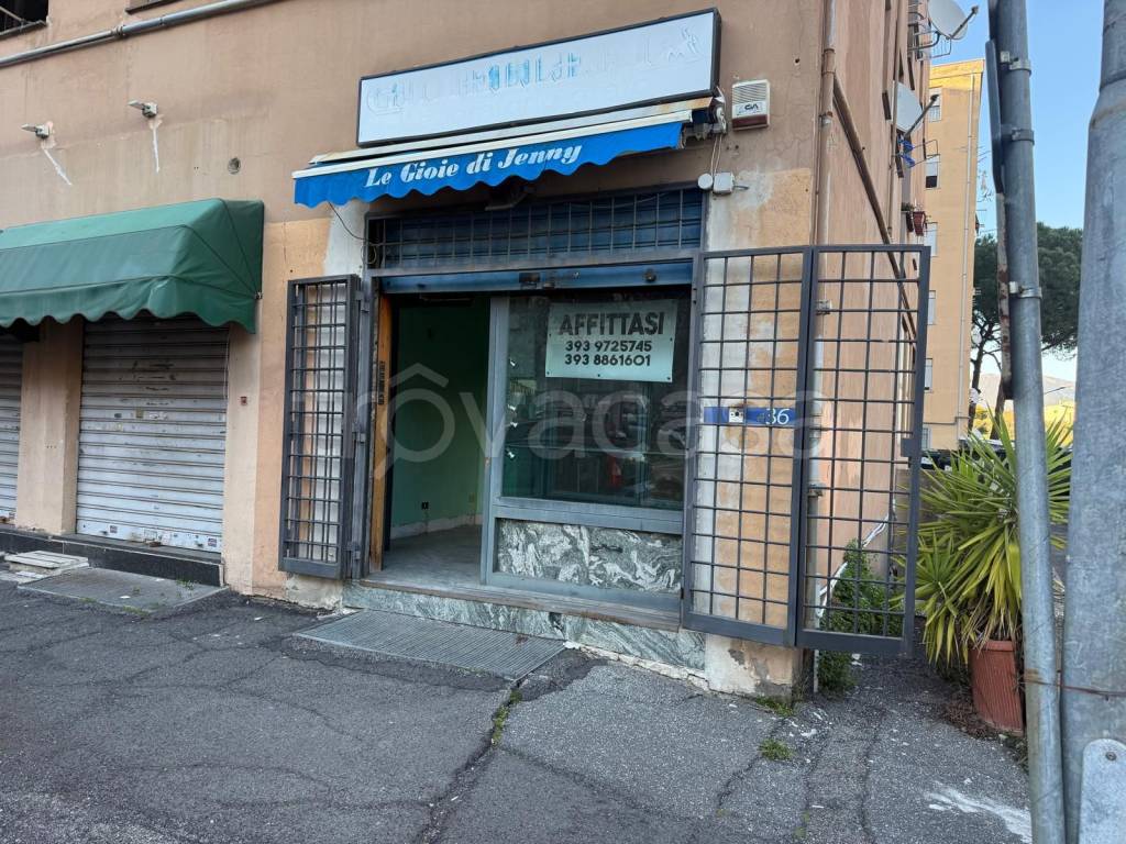 immagine annuncio 7 di 13