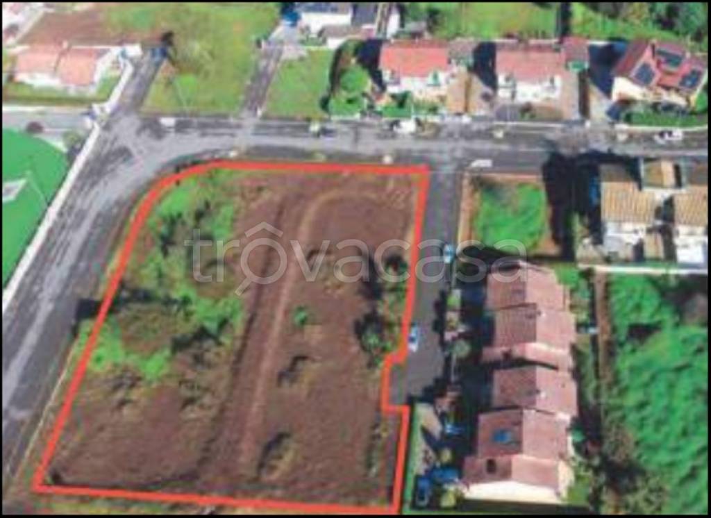 immagine annuncio 9 di 12