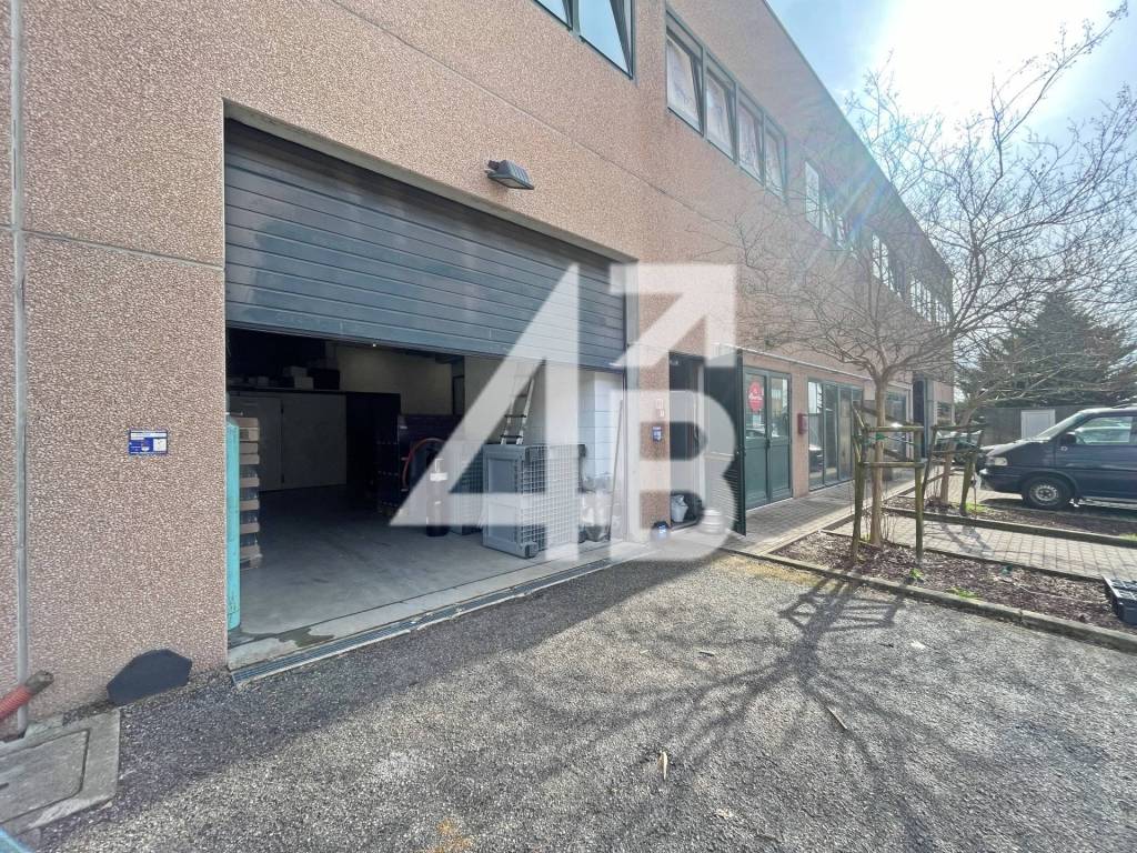 immagine annuncio 2 di 15