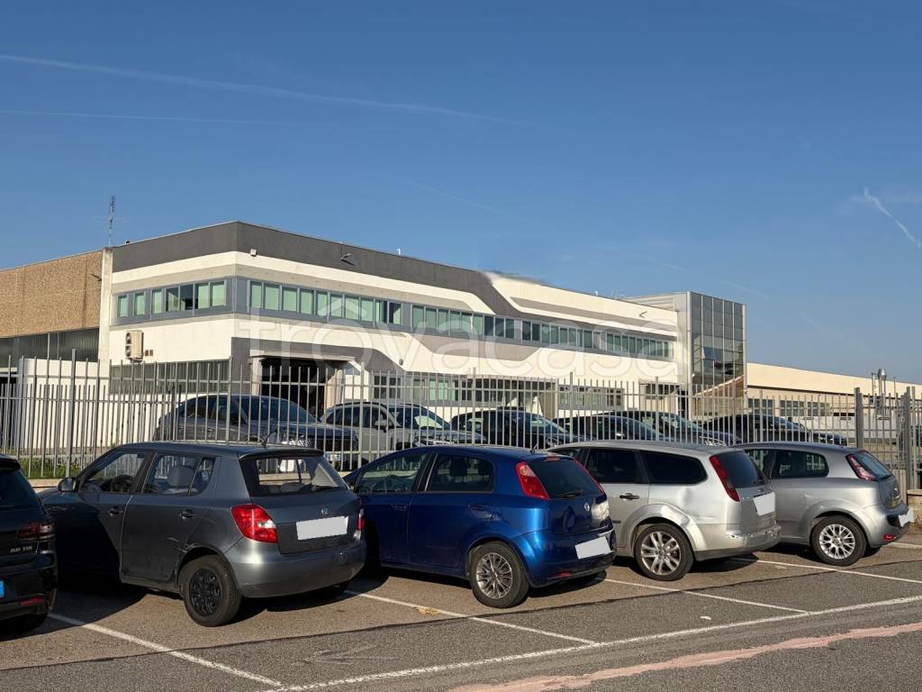 immagine annuncio 3 di 10