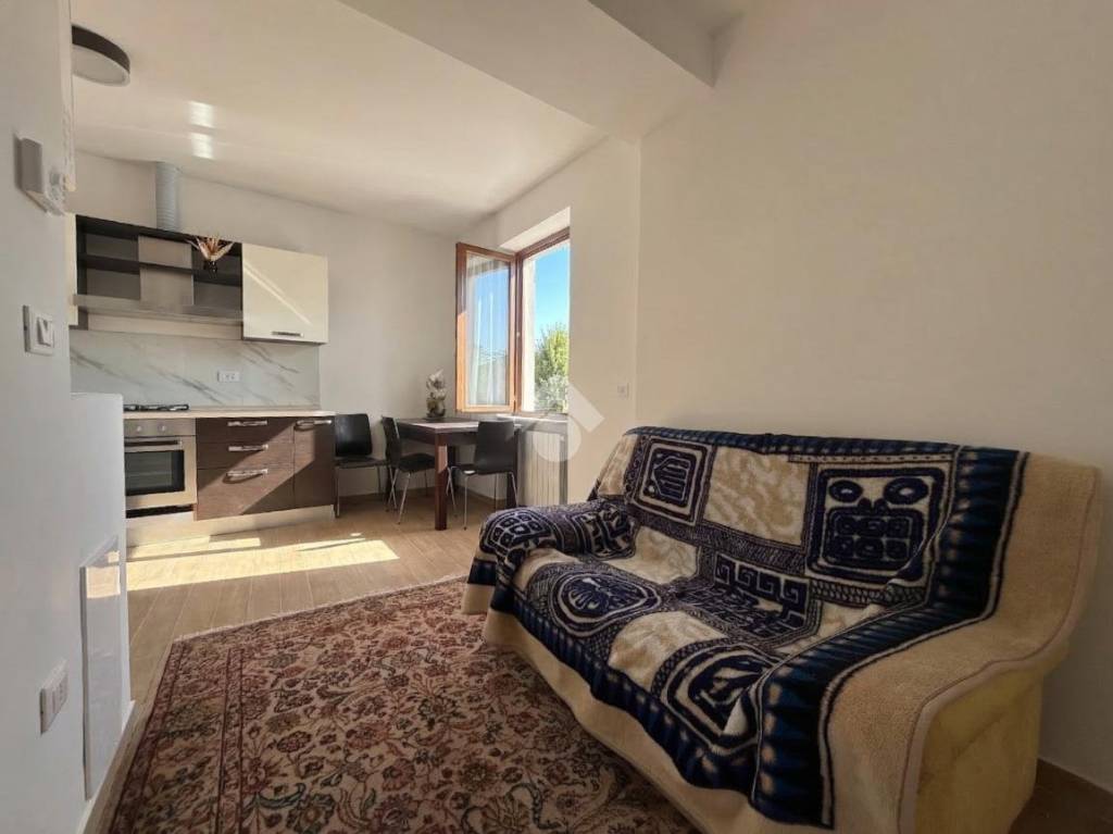 immagine annuncio 2 di 12