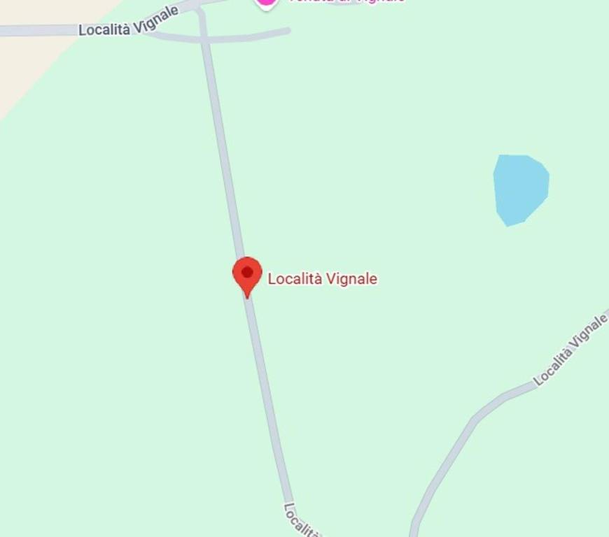 immagine annuncio 2 di 11