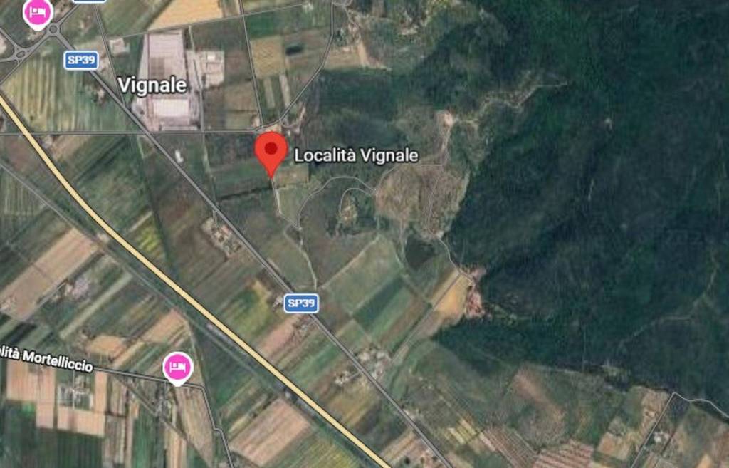 immagine annuncio 7 di 11