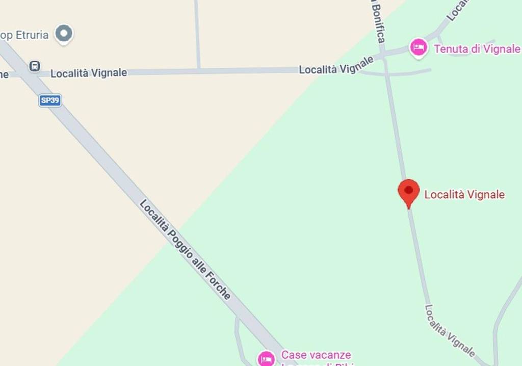 immagine annuncio 8 di 11