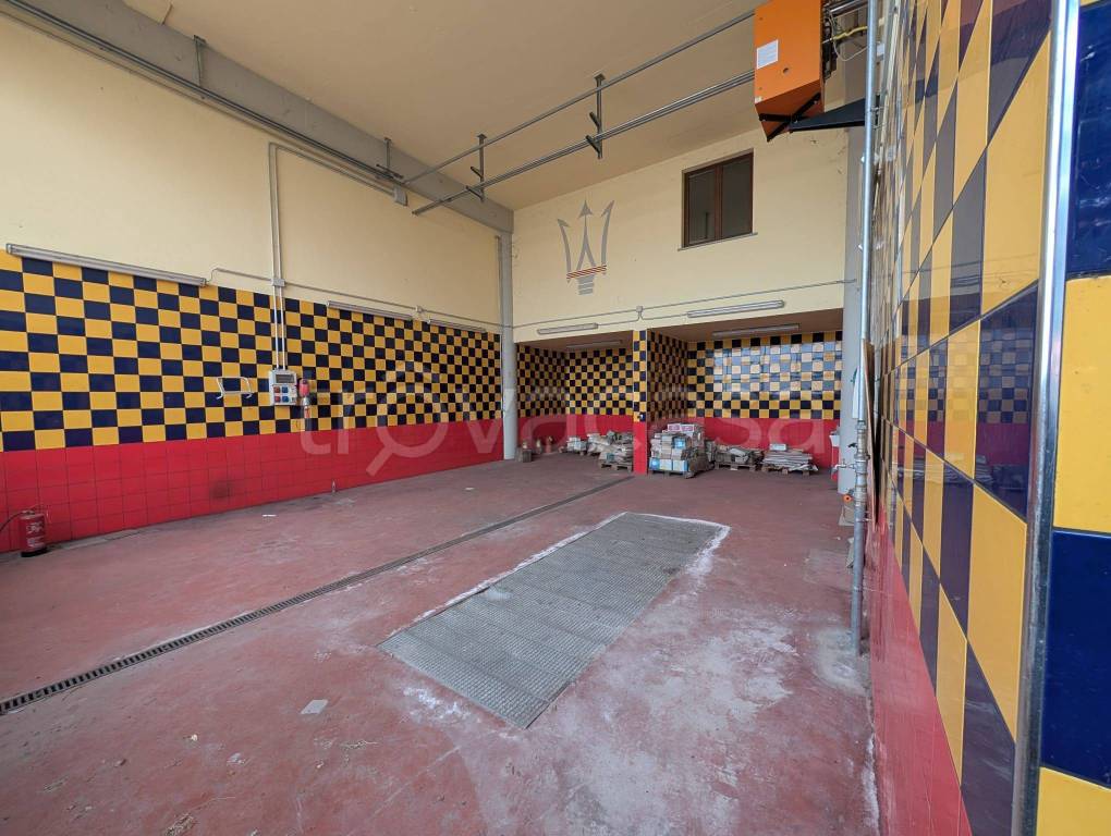 immagine annuncio 8 di 15