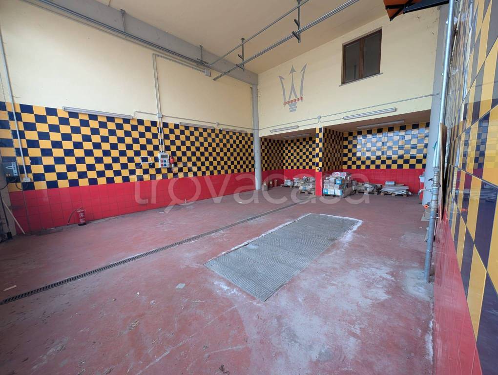 immagine annuncio 10 di 15