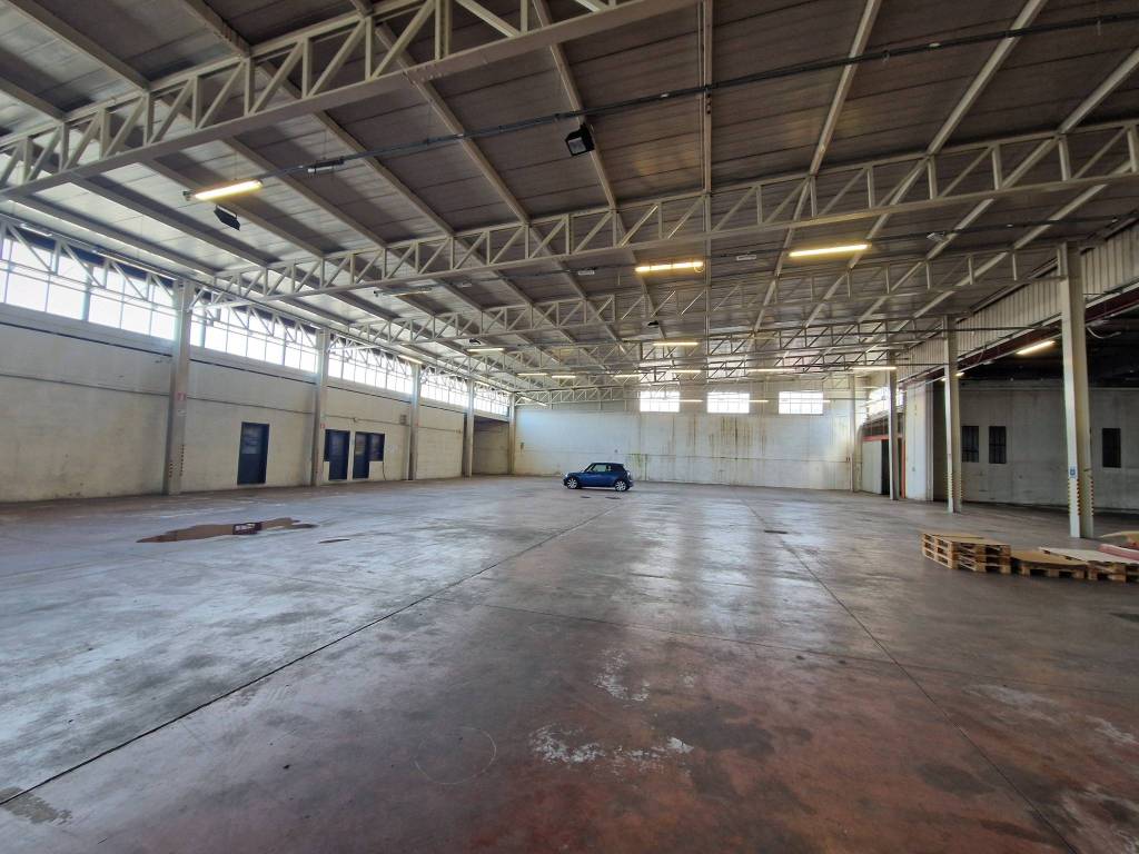 immagine annuncio 4 di 15