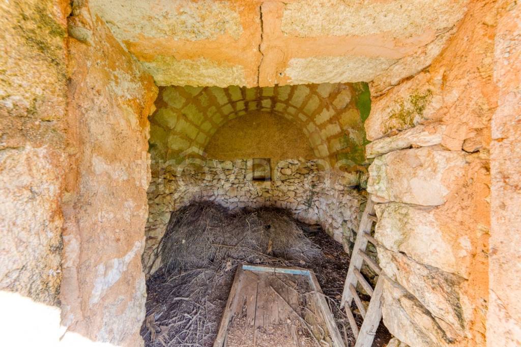 immagine annuncio 2 di 13