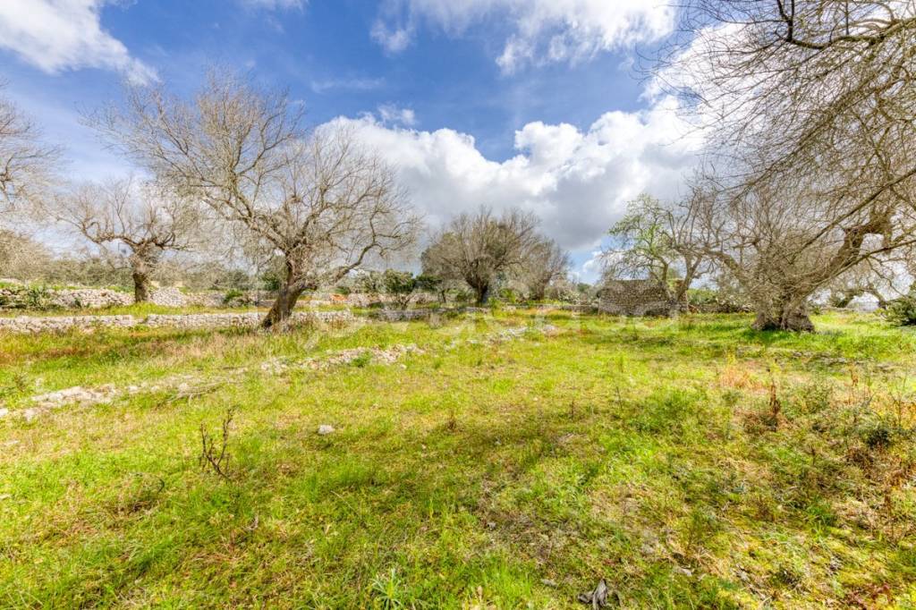 immagine annuncio 6 di 13