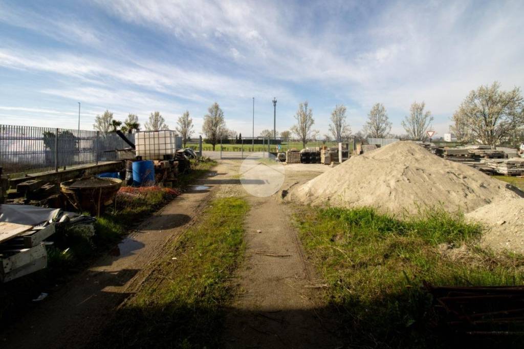 immagine annuncio 1 di 15