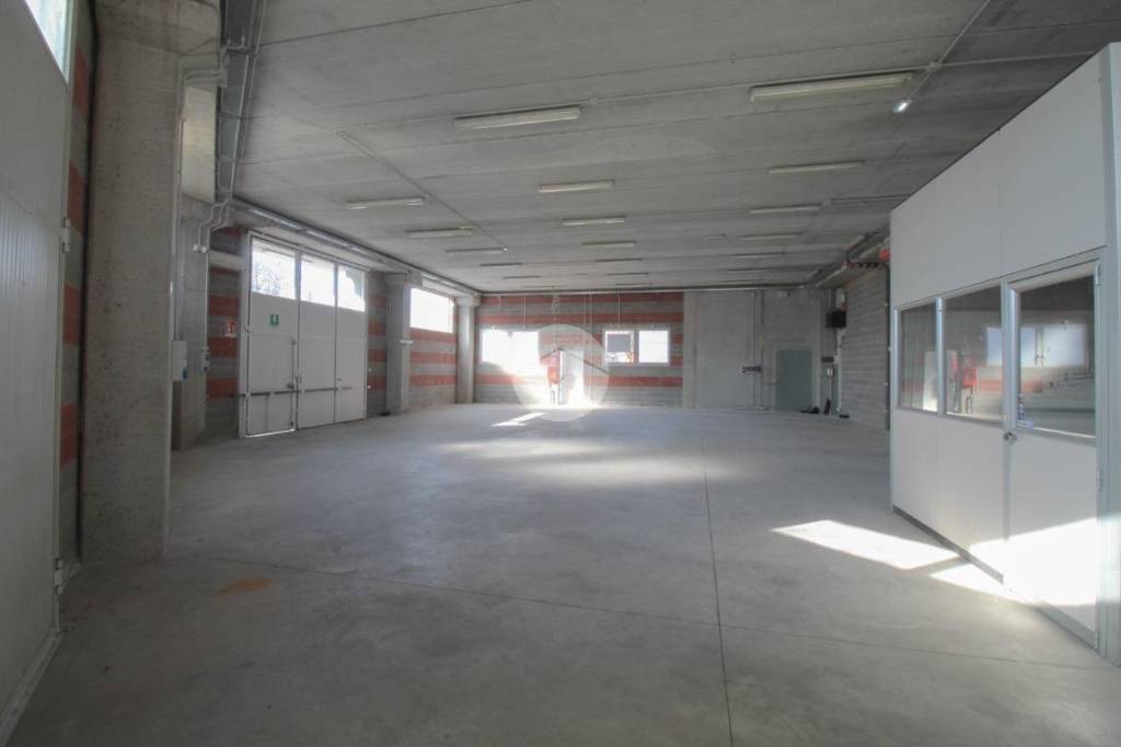 immagine annuncio 3 di 11